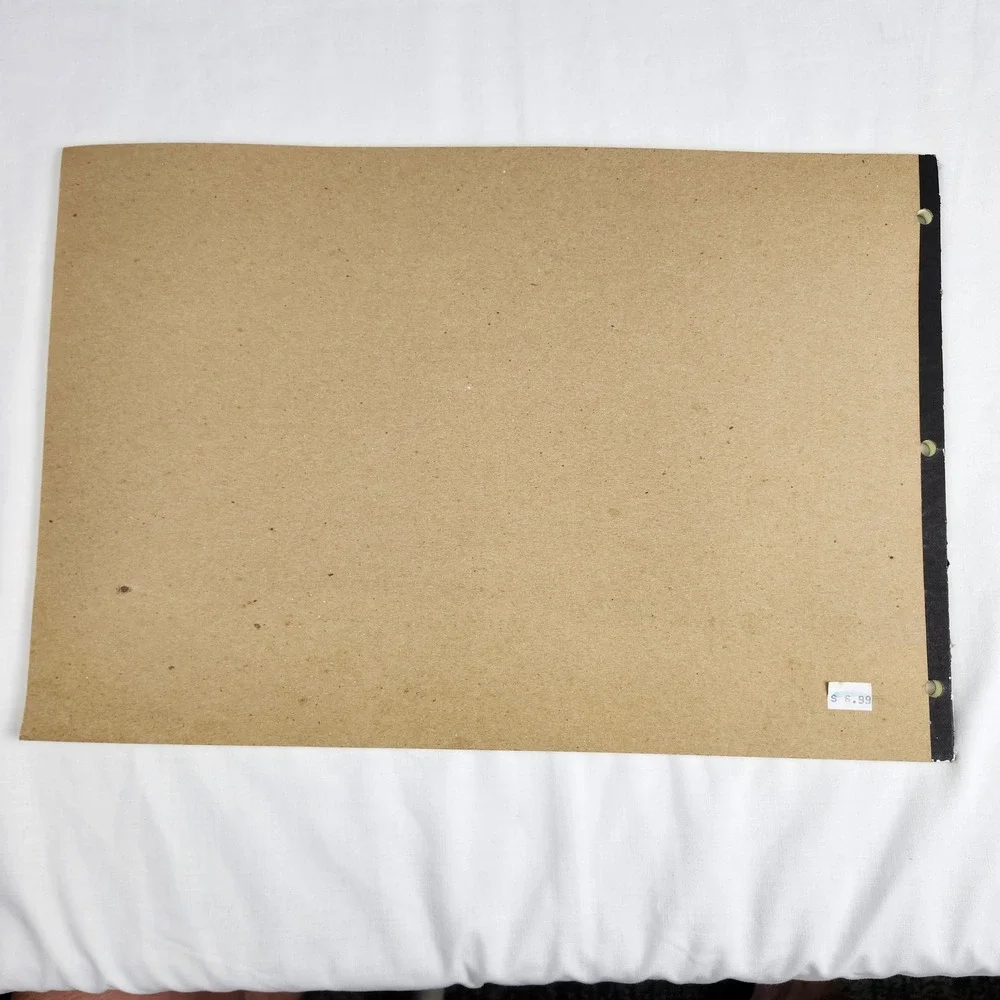 Wilson Jones ColumnWrite Columnar Pad G7513 11x16.375 Green 13 Columns Unused